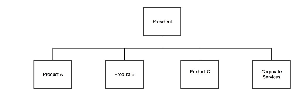 Divisional Organization Structure