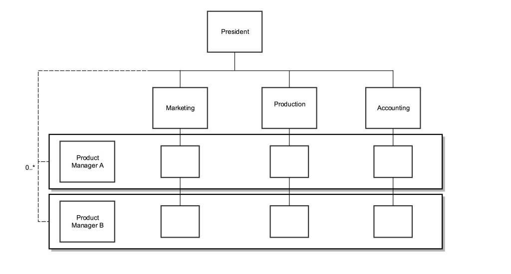 Matrix Organization Structure